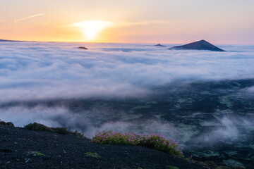 Lanzarote's volcanic landscape in the morning