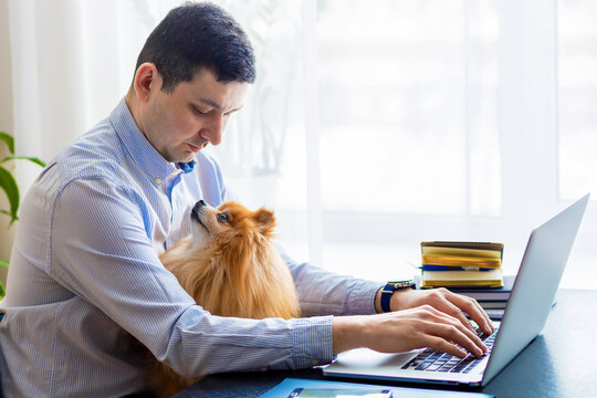 Freelancer man, caucasian bisnessman with his friendly pomeranian spitz using laptop at remote home office. loyal dog looking at the owner. pet adoption.