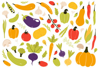 Hand drawn vegetable set, cartoon style vector illustration isolated on white background. Fresh, organic, delicious vegetables, healthy vegetarian food. Vegan menu. Tomato, eggplant, pumpkin, garlic..