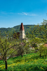 Naklejka premium Parish church of Weissenkirchen at the Danube, Wachau Austria