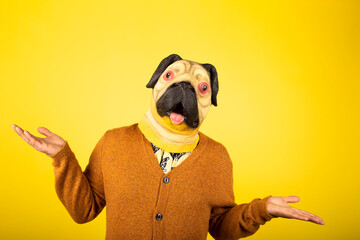 Expressive man with pug mask on a yellow wall