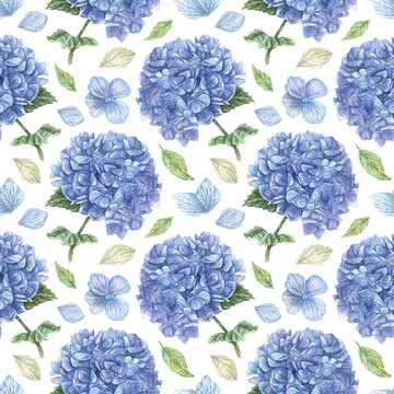 Watercolor seamless pattern of blue hydrangea clouds hand-drawn. Delicate floral background with white and blue petals and green leaves. Texture for fabric, wrapping paper.