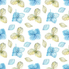 Watercolor seamless pattern with blue and white hydrangea flowers and petals illustration