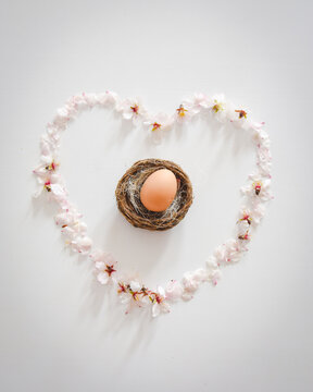 Single egg in nest surrounded daisies heart on white background. Conceptual fertility, aging and manhood