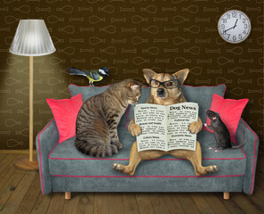 A beige cat with a dog are reading a newspaper on a gray sofa at home.