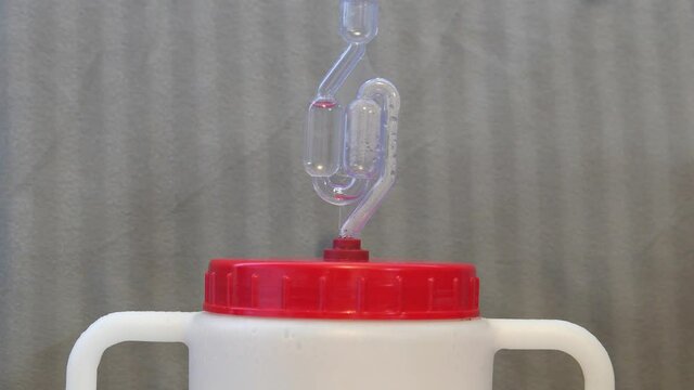 The water seal hydroseal gurgles on a jar of mash wort. The production of moonshine is illegal at home.