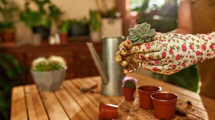 Worker standing at the table and holding the plant