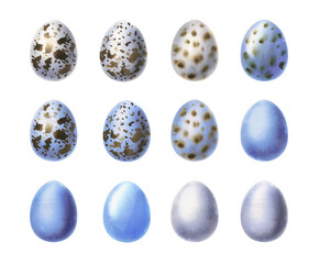 Watercolor Easter eggs. Bird's eggs. 