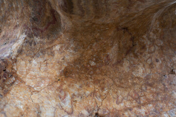 Brown marble texture closeup