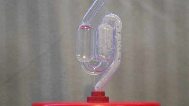 The water seal hydroseal gurgles on a jar of mash wort. The production of moonshine is illegal at home.