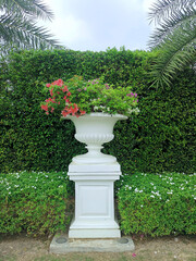 Roman flower style ornamental pot in the garden
