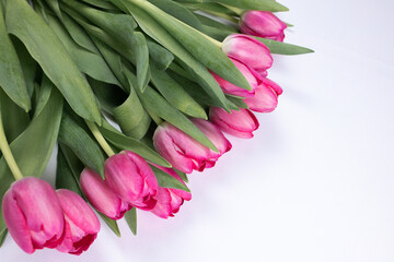Pink tulip buds with green leaves and stems are located in the corner of the frame