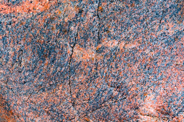Textured red background. The texture of the sea stone is red-brown.