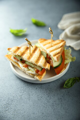Grilled sandwich with tomato and cucumber