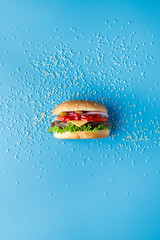 Burger with sesame seeds laid out around on blue backdrop. Creative colorful burger