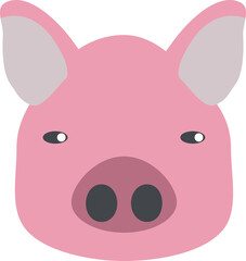 head of pig on white background