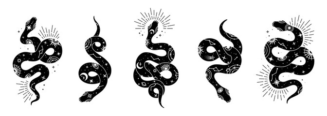 Fototapeta Vector snake set of mystical magic objects- moon, eyes, constellations, sun and stars. Spiritual occultism symbols, esoteric objects. obraz