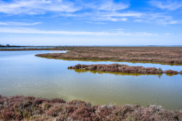 Paysage de Camargue