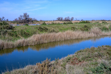 Paysage de Camargue