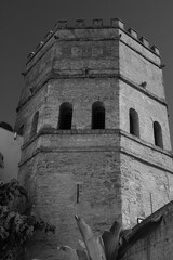 La Torre de la Plata de Sevilla es una torre octogonal del siglo XIII, ubicada en la calle...