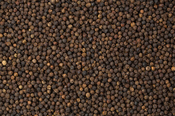 Black pepper corns on black background