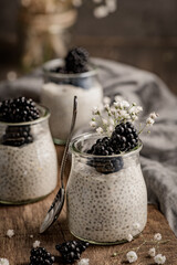 Fototapeta na wymiar Chia pudding with blackberries