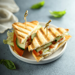 Grilled sandwich with tomato and cucumber