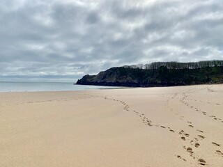 View of Barafundle beach on the Pembrokeshire coast path in wales