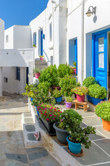 Fototapeta na wymiar Traditional Cycladitic alley with a narrow street and whitewashed houses with pots of flowers in Chora kythnos, cyclades, Greece.