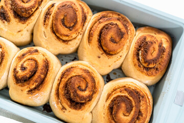 Cinnamon rolls