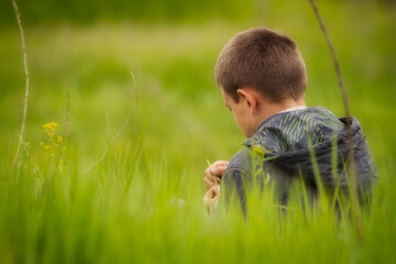 Naklejka na ściany i meble a photographic image of a boy in a jacket with a hood close-up on the right side of the composition sits on the grass with his back, his face half turned and holds a blade of grass in his hands