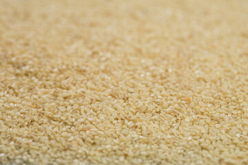 Sesame seeds in studio close up