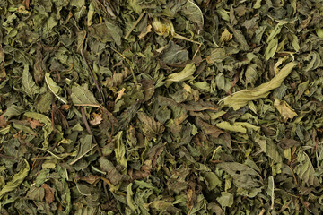 Dry mint on black wooden background 
