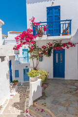 Fototapeta na wymiar Cycladitic alley with traditional stairs, whitewashed houses and a blooming bougainvillea in Chora kythnos, cyclades, Greece.