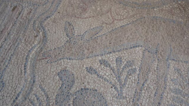 Amazing ancient mosaic on floor of ruins of antique house. Greece
