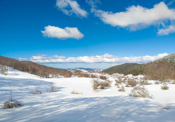 Campaegli of "Cervara di Roma" (Italy) - The snow capped mountains with forest in the province of Roma, Lazio region, in Simbruini mounts. Here a white landscape.