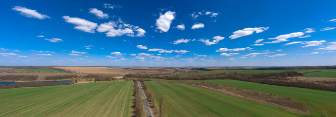 Panoramic field of grass and perfect sky