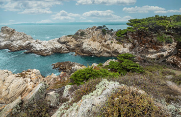 Fototapeta premium Beautiful landscape, view rocky Pacific Ocean coast at Point Lobos State Reserve in Carmel, California.