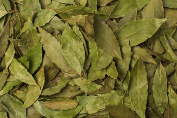 Dried laurel leaf background close up