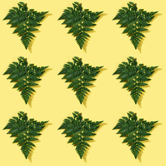 Green fern leaf pattern on yellow background. Natural tropical summer background.