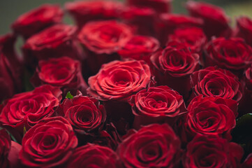 A huge beautiful bouquet for the anniversary of 1000 flowers of roses. Delivery.