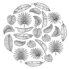 Vector pattern with tropical leaves. Palm tree. Philodendron. Cute vintage garden.