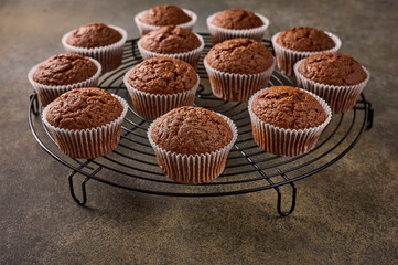Homemade chocolate cupcakes on a grille stand on wooden background, close up, selective focus