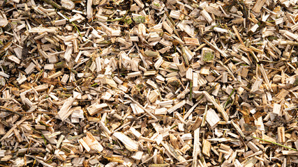 Wood chippings sawdust offcuts overhead view for natural textured backgrounds