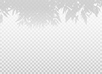 Obraz premium Vector realistic shadow effect from leaves and foliage. Plant or tree branches with empty space isolated on transparent background.