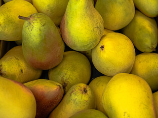 A heap, pile of bright yellow green pears in a store, in a supermarket. Fruits lie on top of each other