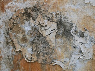 Broken old cement floor.