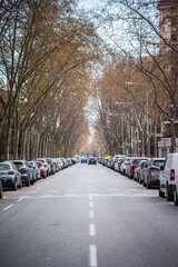 A road with cars on both sides on a sunny day