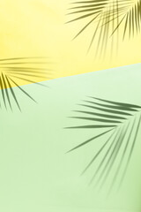Tropical palm shadow over yellow and green paper background. Overhead Summer theme  copy space.