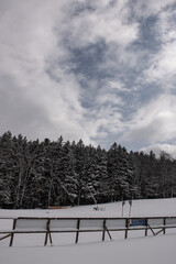 snow covered fence